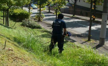 植木の剪定 お手入れ お任せください。