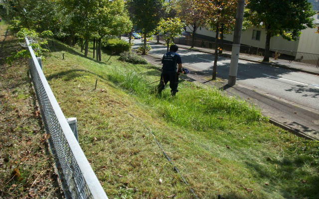 草刈・芝刈