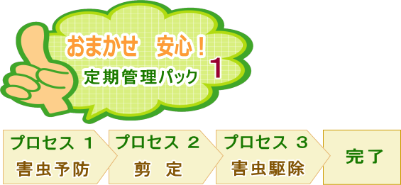 おまかせ安心 定期管理パック1