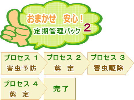 おまかせ安心 定期管理パック2