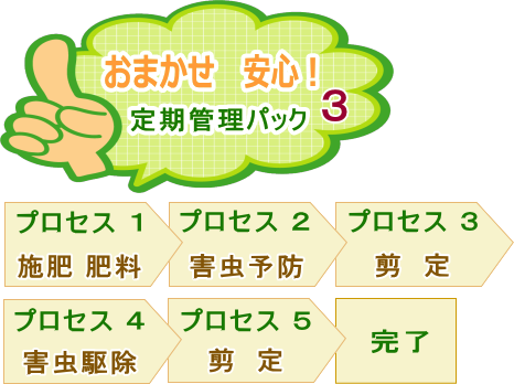 おまかせ安心 定期管理パック3