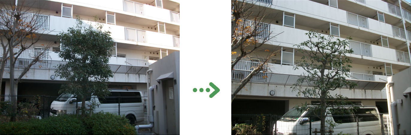 新着　今週の植栽管理施工事例