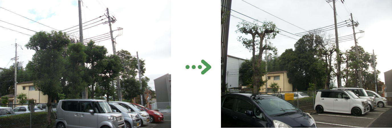 新着　今週の植栽管理施工事例