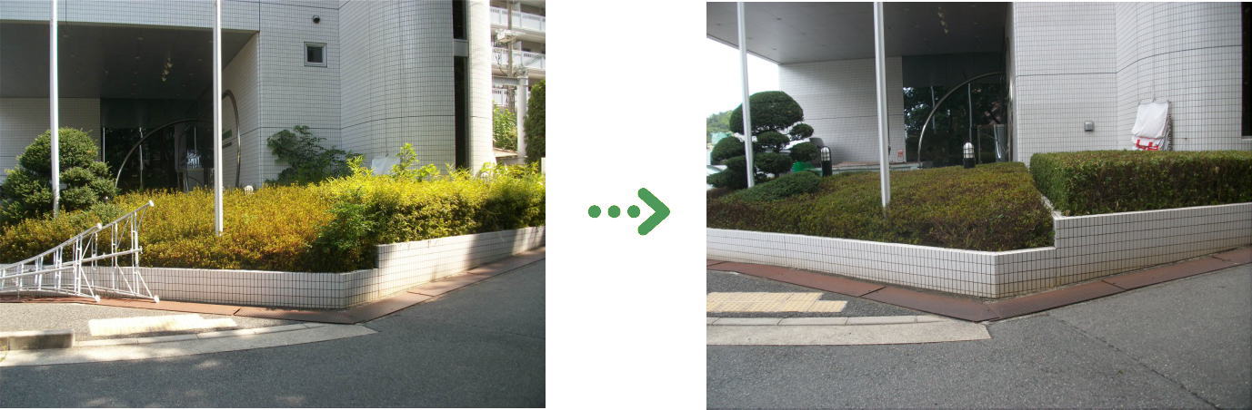 新着　今週の植栽管理施工事例