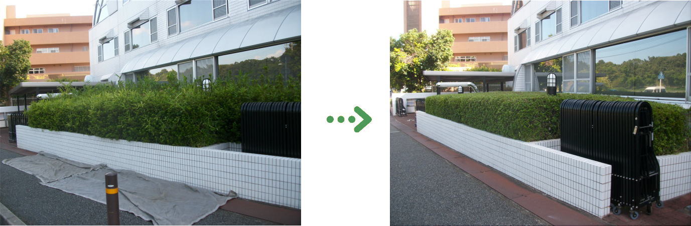 新着　今週の植栽管理施工事例