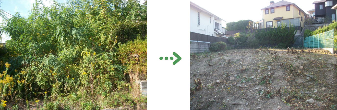 新着　今週の植栽管理施工事例