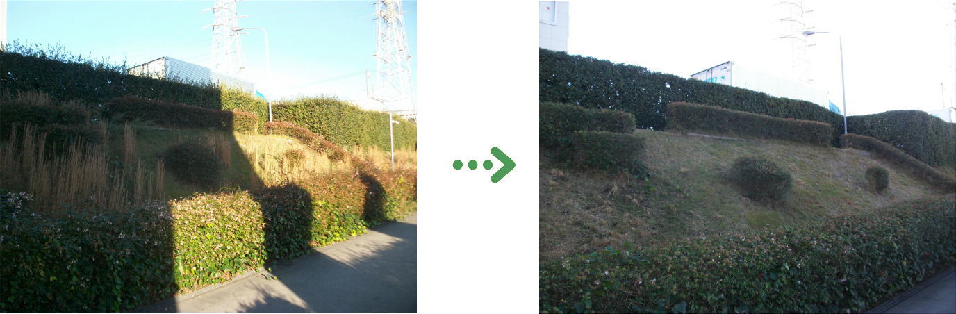 新着 今週の植栽管理施工事例