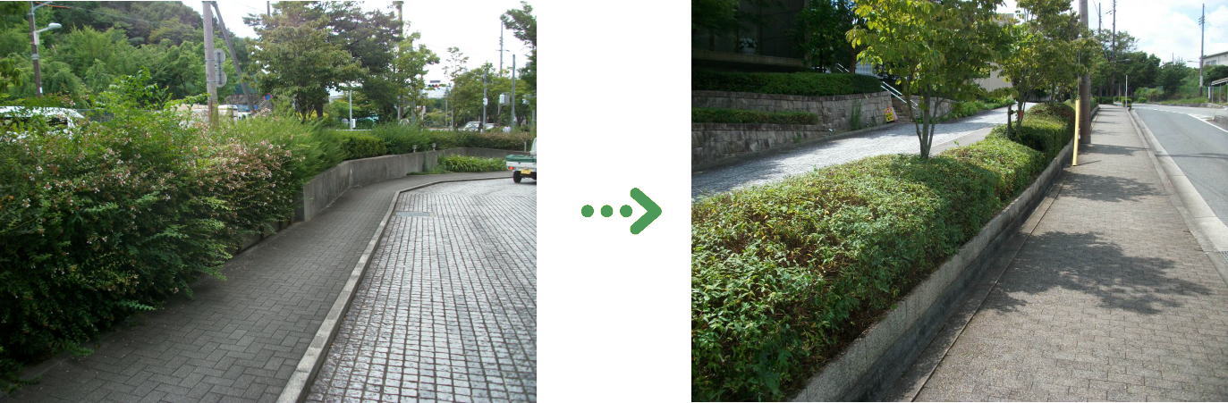 新着　今週の植栽管理施工事例