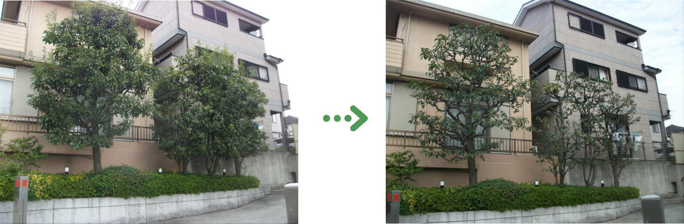 新着　今週の植栽管理施工事例