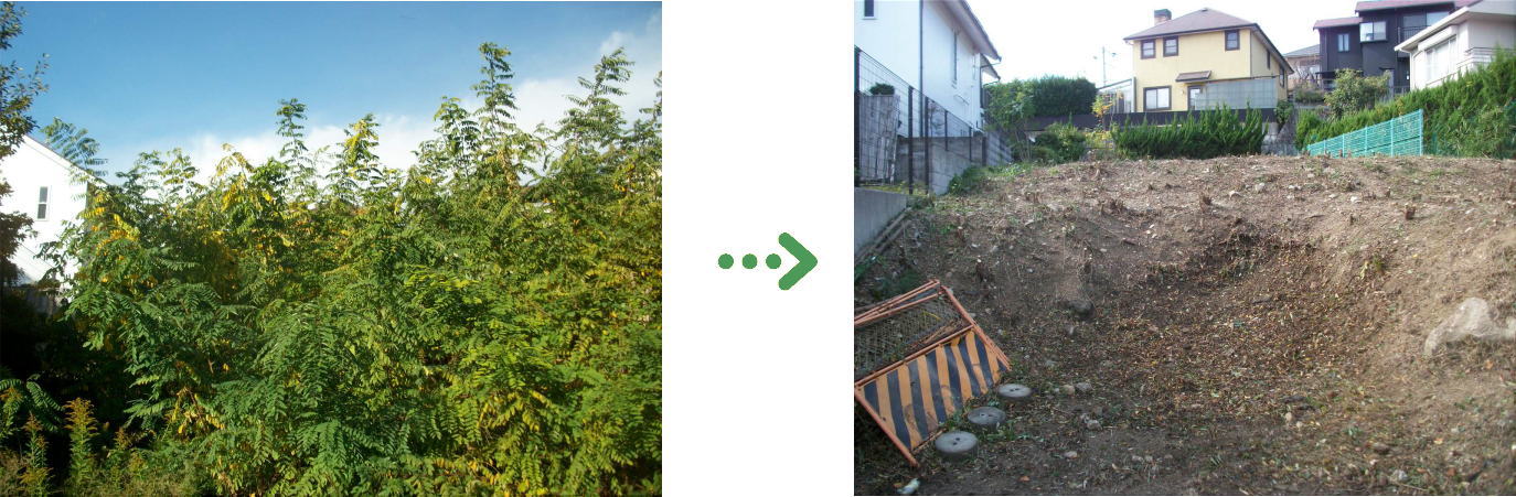 新着　今週の植栽管理施工事例