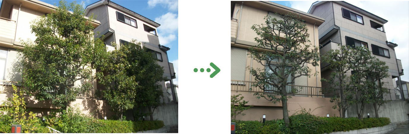 新着　今週の植栽管理施工事例