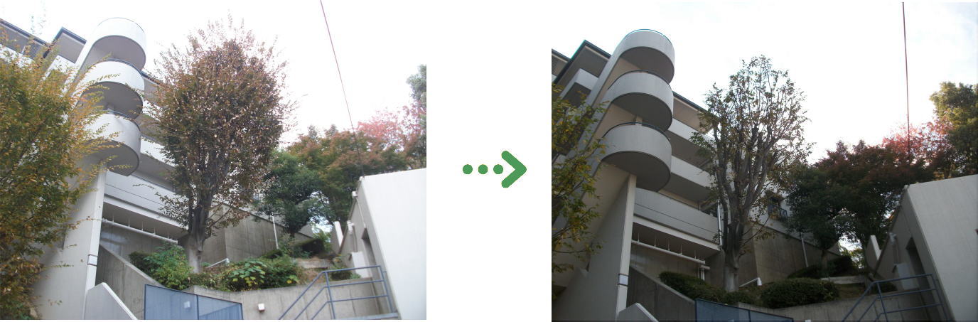 新着　今週の植栽管理施工事例